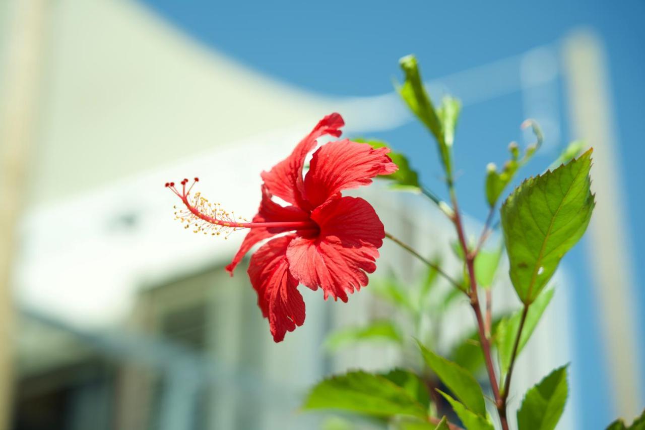 Vacation Village Okinawa - Nakijin South Bldg Exterior foto